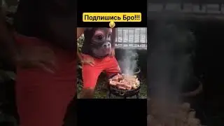 Раздувает животом #russia #starwars #music