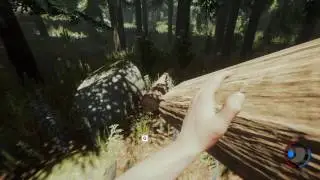 The Forest and Freddy's rants