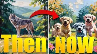 How Humans Domesticated Dogs - History of Dogs