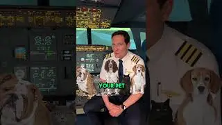 Is the CARGO HOLD pressurized??? 