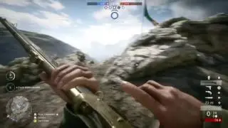 Martini Henry Level 100 Battlefield 1