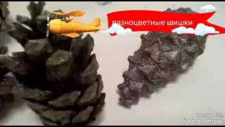 Декор комнаты 1 часть !!!