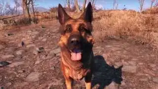 Fallout 4: Extracting songs from game files