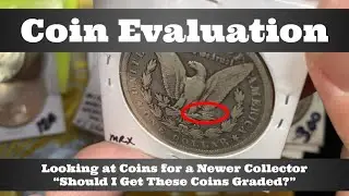 Coin Collection Evaluation - Looking at Coins for a Newer Collector - 