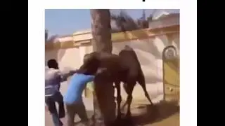 Вот ето поворот