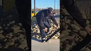 Did I miss any? #shorts #skateboarding