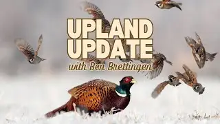Upland Update with Ben Brettingen