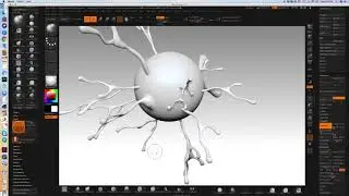 ZBrush: Making an astrocyte with Insert Mesh Brush