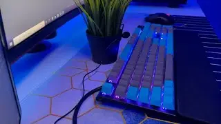 Best Sounding Apex Pro?