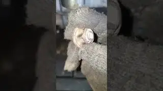 Признаки усталости 🤣 
