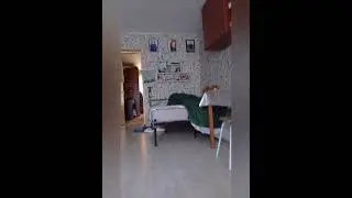 С утра хотим играть😊😺