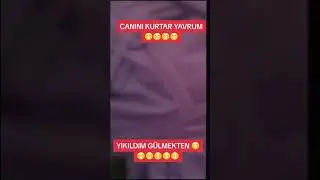 komik videolar