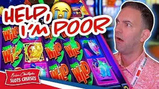 Rich Little Piggies? 🐷 More Like Poor Little Brian!