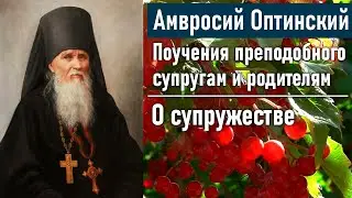 О супружестве / Поучения преподобного Амвросия Оптинского супругам и родителям