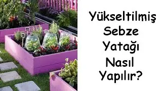 How to Make a Raised Vegetable Bed?