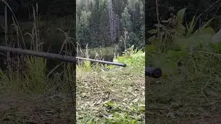 Стейк из говядины , готовлю на природе #automobile #carpfish #nature #fish #fishing #freshwaterfish