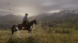✦СТРИМ RDR2✦
