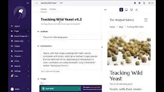 Wagtail page editor, v2.16 to v4.2