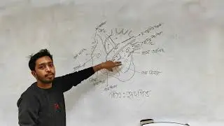 heart structure (হৃদপিণ্ড) (Biology class for 9 &10 about heart)||@power-of-learning