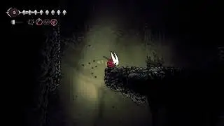 Hollow Knight