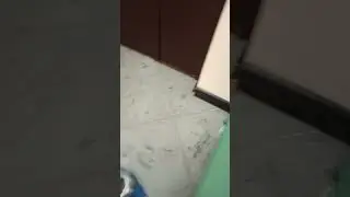А ПОЛ-ТО С ПОДОГРЕВОМ!!! || В РЕНТГЕН-КАБИНЕТЕ(ШПИОНСКАЯ СЪЕМКА),,ЭЛЬ-МЕД