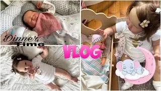 Vlog: Our lunch with reborn Miley and Molly dolls. Getting ready for a nap😴