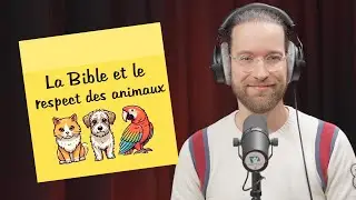 La Bible et le respect des animaux | POST-IT | Genèse 2.19-20 [S2E169]