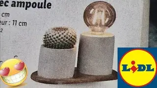 ARRIVAGE LIDL 30 AOÛT 2024
