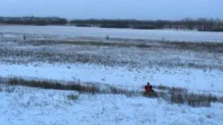 Сэм
