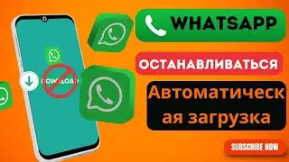 Как остановить автоматическую загрузку фото и видео в WhatsApp