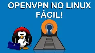 OpenVPN pra Linux, Qual melhor Cliente? (fácil e rápido)