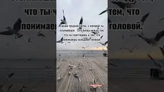 Трудная битва.
