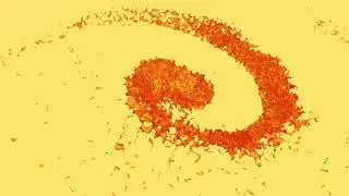Animation Cinema4D