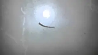 Kertenkele kuyruğu