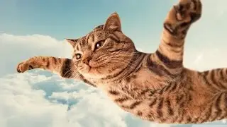 ПРИКОЛЬНОЕ ВИДЕО!Смешное видео Хороших выходных УЛЫБНИСЬ