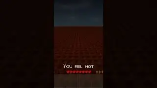 Survivalcraft part 9