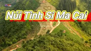 Núi tình Si Ma Cai điểm du lịch 2023