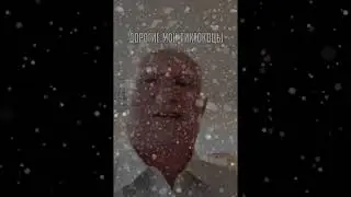 Дорогие мои тиктоковцы