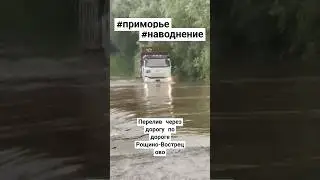 #приморье #паводки #наводнение #разлив #река #2024 #automobile #мтз #новости #вести