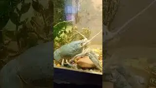 Яша моет 😐😐😐