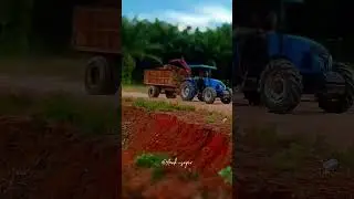 #sawitkalimantan