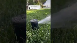 How often do you water your lawn? ImoLaza can help! #laen #lawncare #sprinklersystem #irrigation