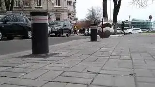 Болларды Vigilo 2250 FADINI в г. Киев