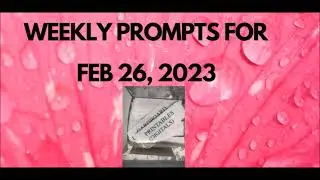 WEKKLY PROMPT FOR FEB 26, 2023