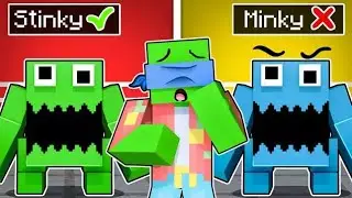 Guess the Correct STINKY JOEL in Minecraft!