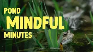 Take a minute and relax | Mindful minute | WWT