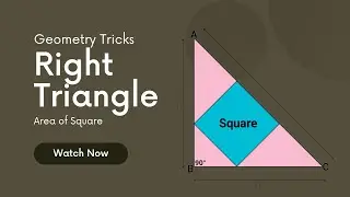 How to Find the Area of an Inscribed Square Inside a Right Triangle #logicxonomy_shorts #shorts