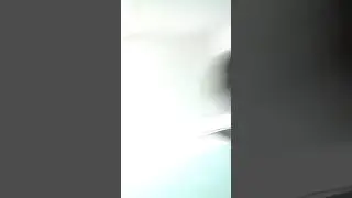 Чигидецник