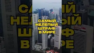 Самый нелепый штраф в мире