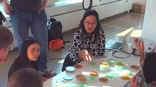 Summer School, Lecture by Pei-Ying Lin: Micro Performances / Macro Connections. Part 1